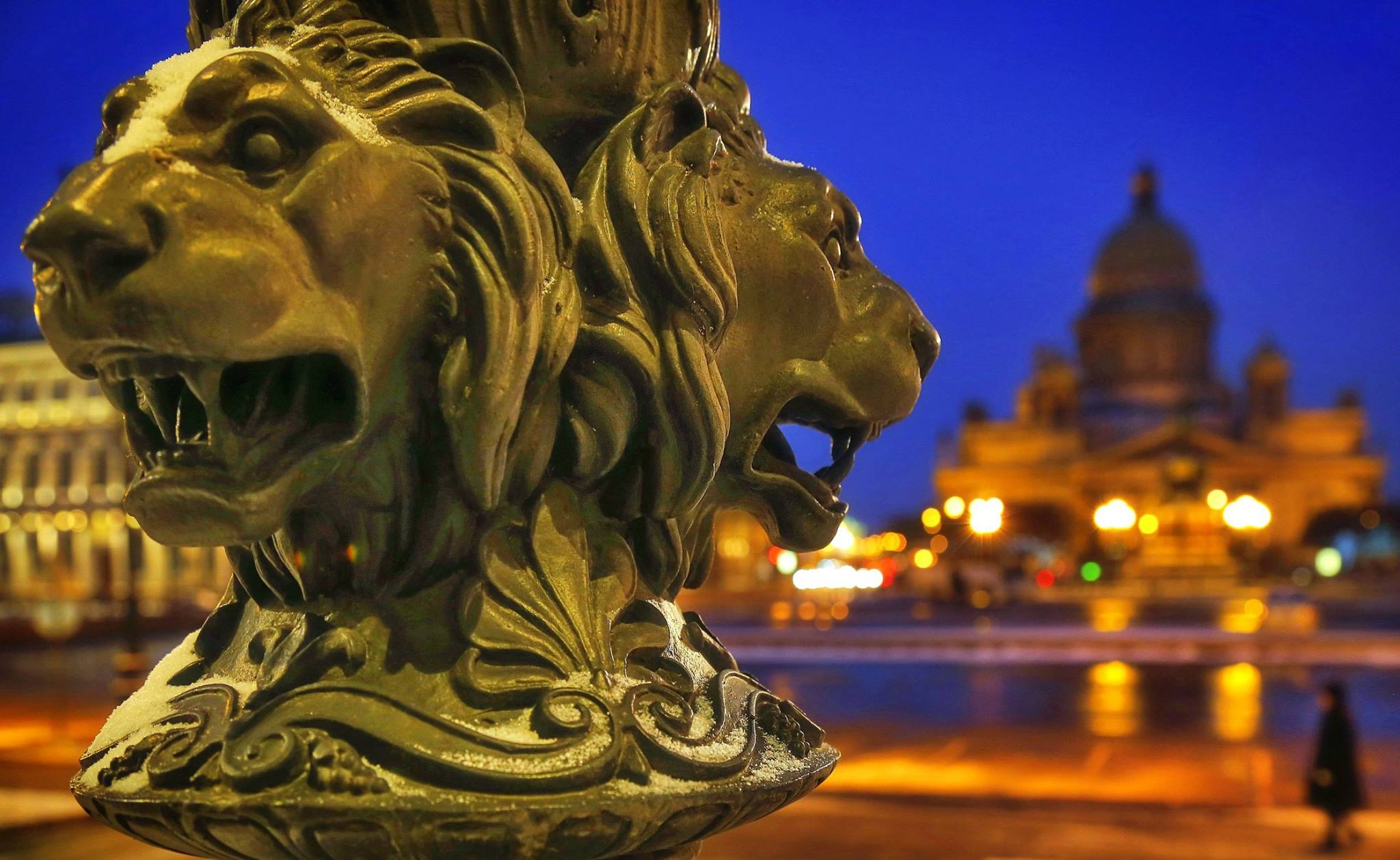 St. Petersburg lions